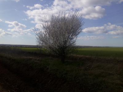 Прикрепленное изображение: IMG_20160403_151009.jpg